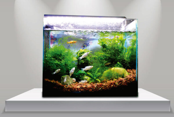 ACUARIO 45X20X30