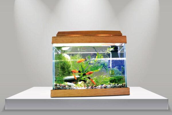 ACUARIO TIPO BETERA 30X15X20