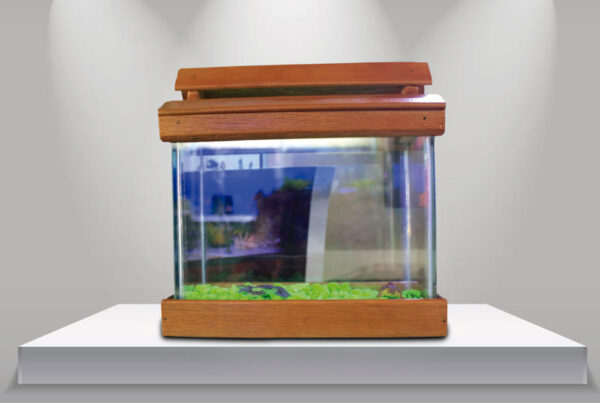 ACUARIO TIPO BETERA 20x10x15